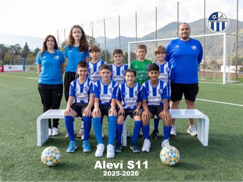 Aleví S11